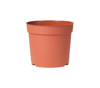 Potcontainer 15 cm 5° Hoog TN