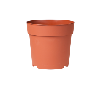 Potcontainer 24 cm 5° Hoog TN
