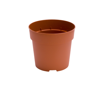Potcontainer 12 cm 5° Hoog TN