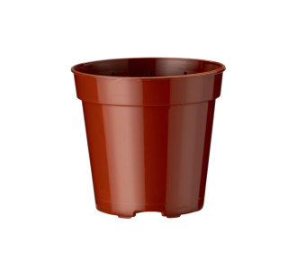 Bloempot SB 5,5 cm 5° DH