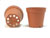 spuitgiet8 13021AYP