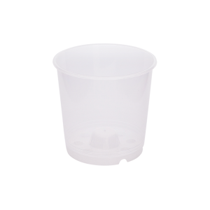 Orchideeën pot 9 cm TN -01