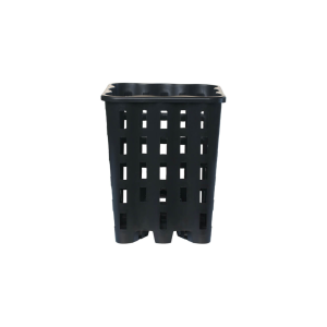 super-ercole-vierkant-p&b-zwart