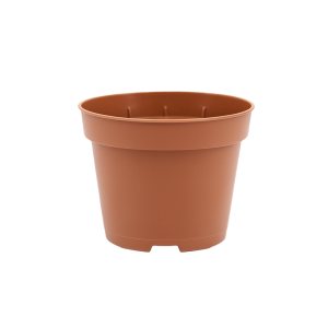 bloempot-6cm-8graden-e-kuma