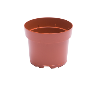 Potcontainer 12 cm 5° Laag HV TN