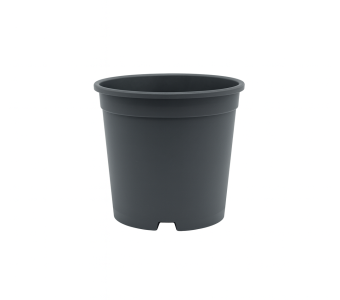 WPS Container 14 cm 5° DBP