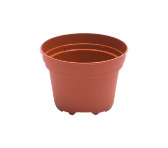 Bloempot 12 cm 8° TN