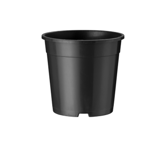 Container H 12 cm 5°  DH