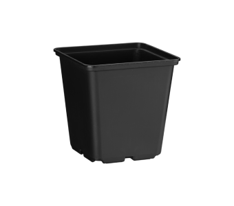 Bloempot Vierkant 13 cm DH