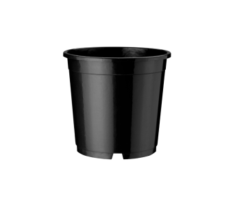 Container Amazone 13 cm DH