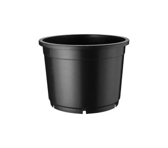 Boomcontainer H 54 cm VB DH